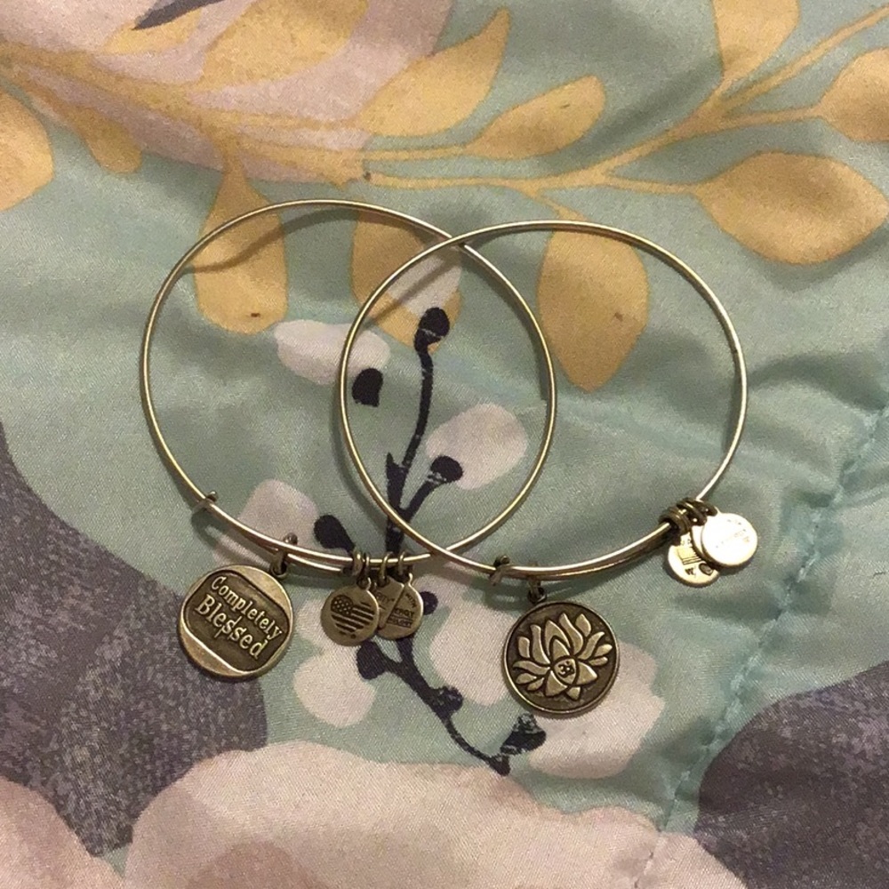 Alex and ani